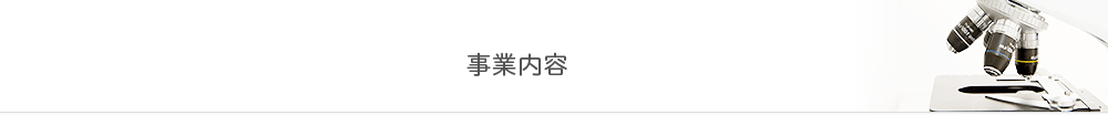 事業内容
